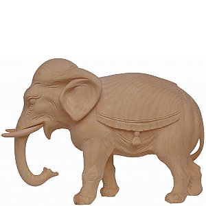 6523 - Elefant (Zirbel)