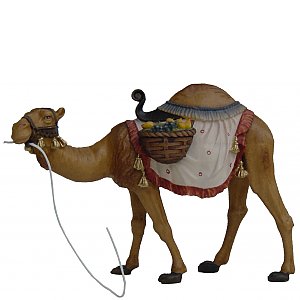 6622 - Camel (Maple)