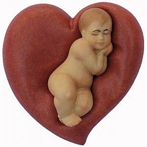 6073 - Newborn on heart