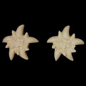 3806 - Earrings edelweiss