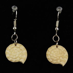 3814 - Earrings fossil hanging