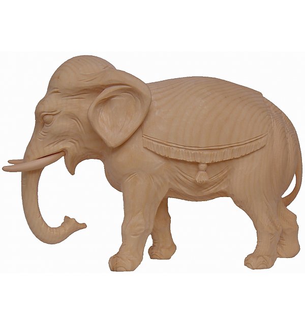 6523 - Elephant (Pine)