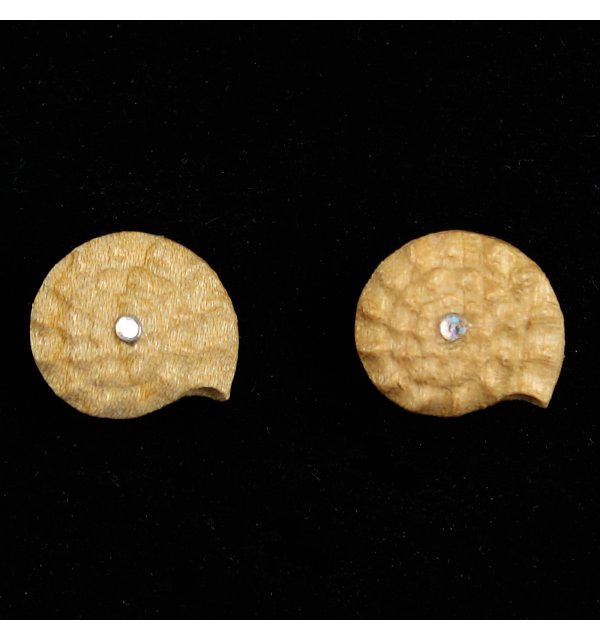 3804 - Earrings fossil KIRSCHE_KR