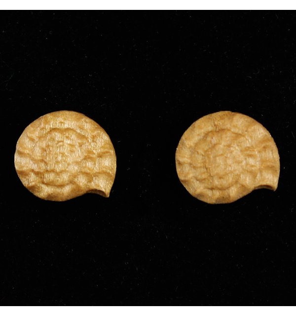 3804 - Orecchini fossile a perno KIRSCHEOEL