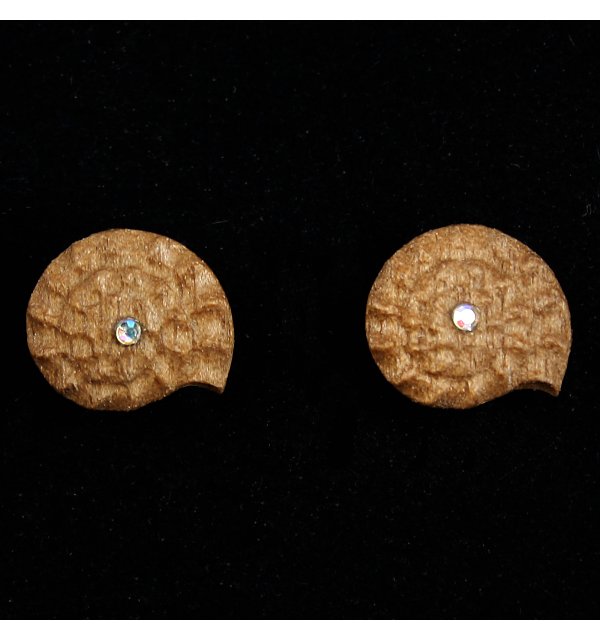 3804 - Orecchini fossile a perno NUSS_KR